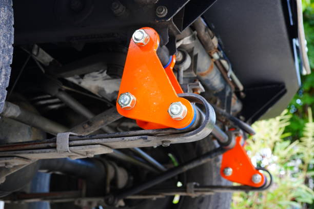 Tesla Model 3 lan Model Y Control Arm Bushings: Keprigelan Potensi lan Laporan Nyata-Donya