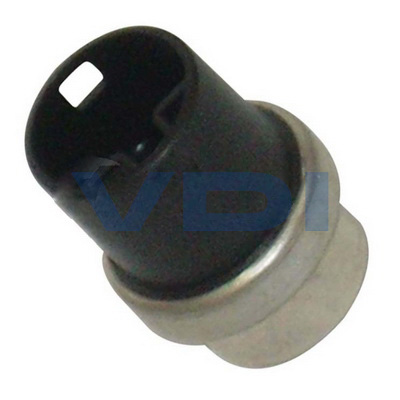 Sensor Suhu banyu sing adhem 251 919 501